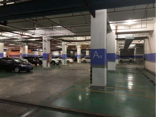 疫情下的大湾区小城 口罩成“通行证”，进超市需测体温，日用商品价格稳定，家用电器销售现分化