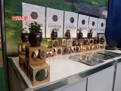 水与绿意交响 简析Gardex 2021日本国际园艺散水用品展览会与日用家电零售的共生逻辑